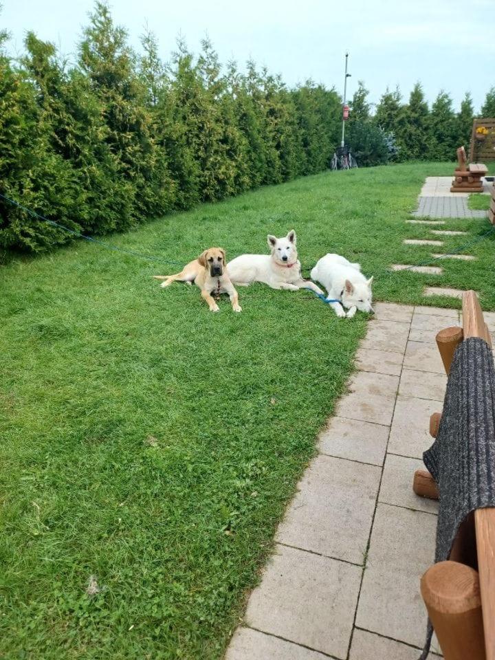 Domki Pod Brzozami Sarbinowo Kültér fotó